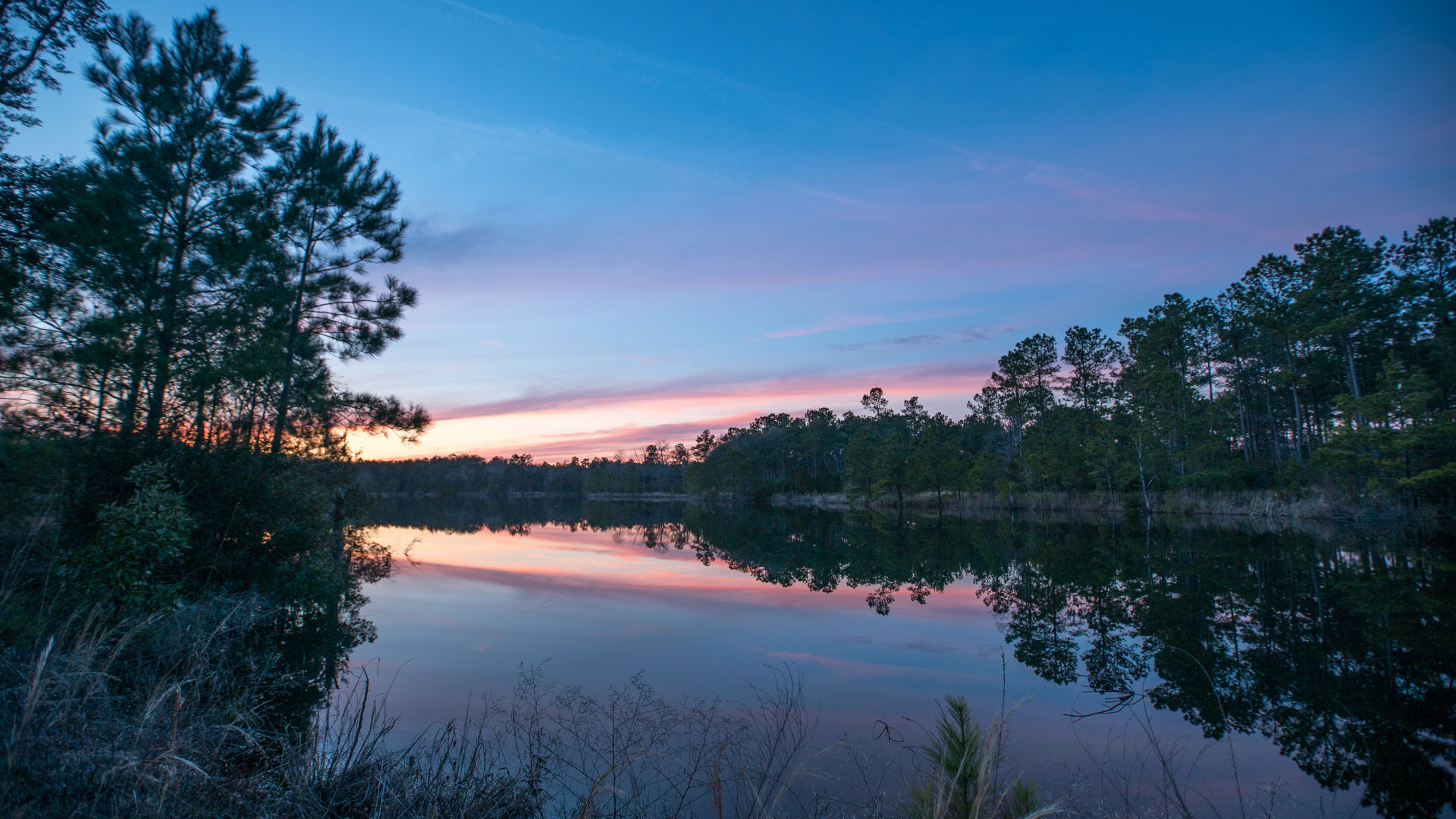 Swallow Tail Lake at Charleston Woodlands